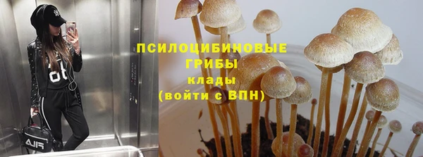 прущие грибы Балабаново