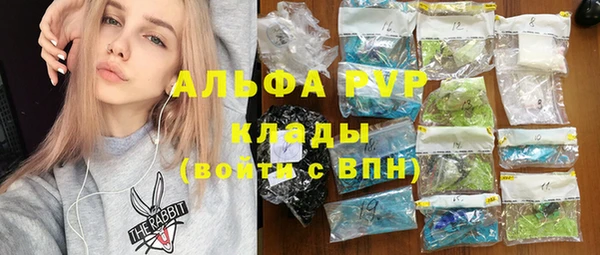 прущие грибы Балабаново