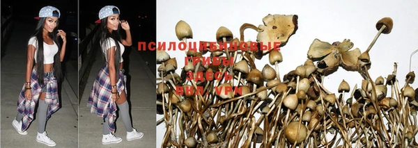 jwh Баксан