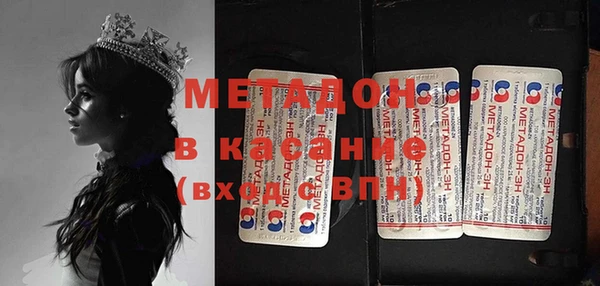 прущие грибы Балабаново